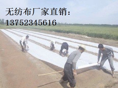 山西无纺布 山西园林无纺布 山西有卖无纺布的吗